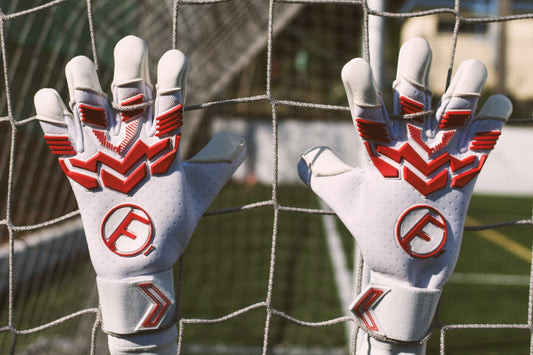 FLY DRAGON – O poder nas tuas mãos (Edição Limitada)